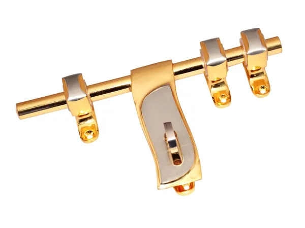 Aldrop_Mango_Orry_Brass_Gold_Silver_Pack_of_1