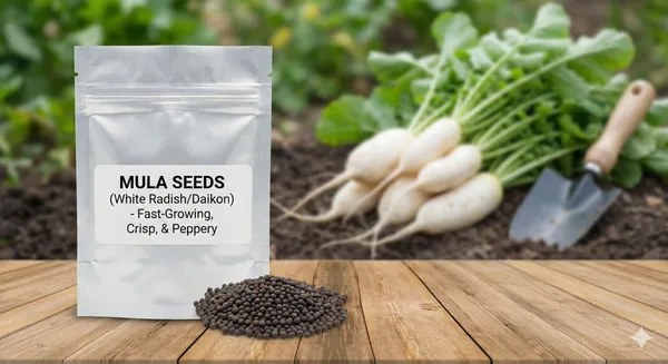 Mula_(White_Radish/Daikon)_Seeds_–_Fast-Growing,_Crisp,_and_Peppery_500_Seeds