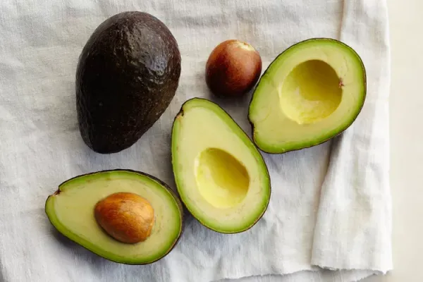 Avocado_(Grafted)_Avocado_Pear_(Persea_Americana)-_Fruit_Plants_&_Tree