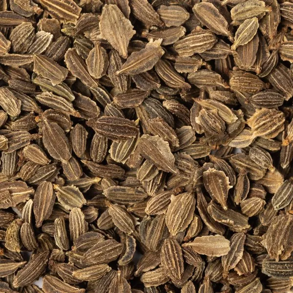 Carrot__Seeds__For_Planting__500_seeds