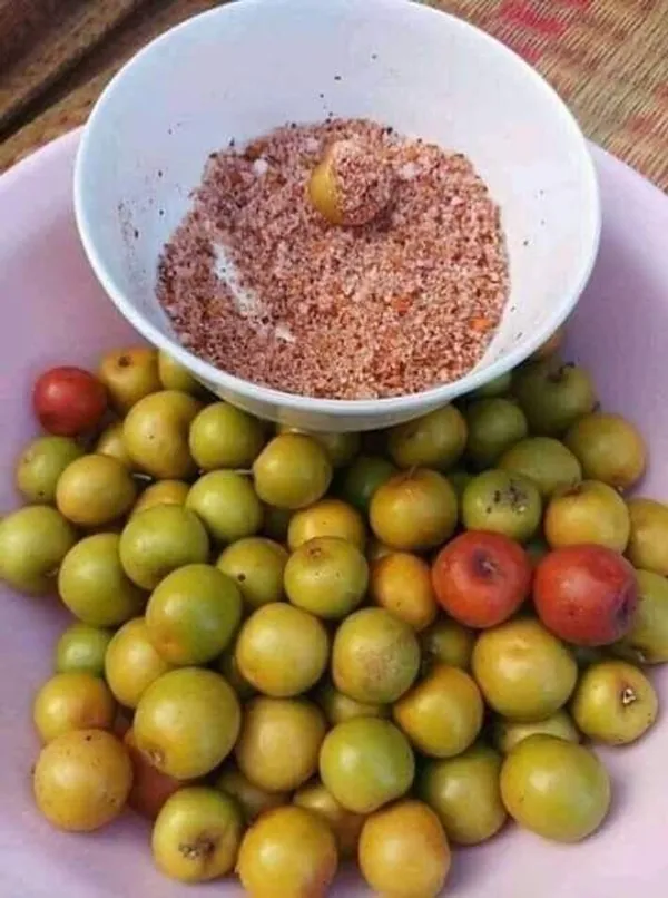 Green_Apple_Ber_Thailand_Variety|_Grafted_Plant_High_Yield_Hybrid_Bear(1_Plant)