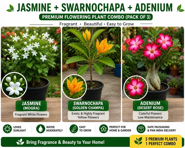 Jasmine_+_Swarnachapa_+_Adenium_Plant_Combo_|_Fragrant_&_Flowering_Live_Plants_|_Home_Garden_Pack_of_3