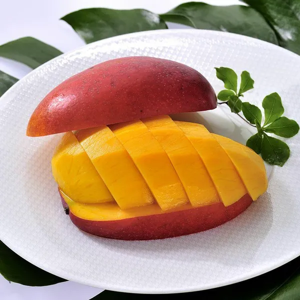 Premium_Miyazaki_Mango_Plant_|_Exotic_Japanese_Variety