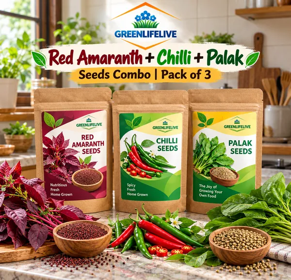 Red_Amaranth_+_Chilli_+_Palak_Seeds_Combo_|_Kitchen_Garden_Vegetable_Seeds_|_Pack_of_3_|_10g_Each_|_30g_Total
