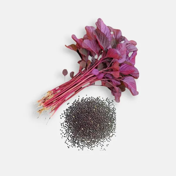 Red_Amaranth_+_Hyacinth_Bean_+_Palak_Seeds_Combo_|_Kitchen_Garden_Vegetable_Seeds_|_Pack_of_3_|_10g_Each_|_30g_Total