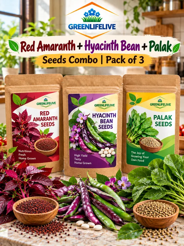 Red_Amaranth_+_Hyacinth_Bean_+_Palak_Seeds_Combo_|_Kitchen_Garden_Vegetable_Seeds_|_Pack_of_3_|_10g_Each_|_30g_Total
