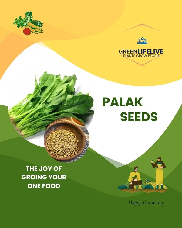 Spinach_-_Organic_Vegetable_Seeds,_Palak_Seeds,_Seeds_Per_(Packet_-_70)_Gardening_Indoor_Outdoor_Vegetables_Seeds