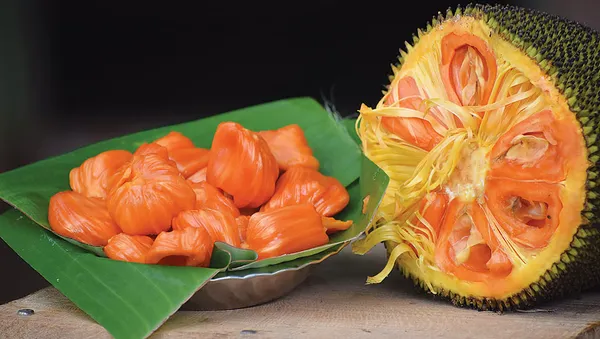 Red_Jackfruit_Plant_-_Vietnam_All_Season_Grafted_Daeng_Surya_Fruit_Tree_Height_2-3_Feet,_Pack_of_1_Plant