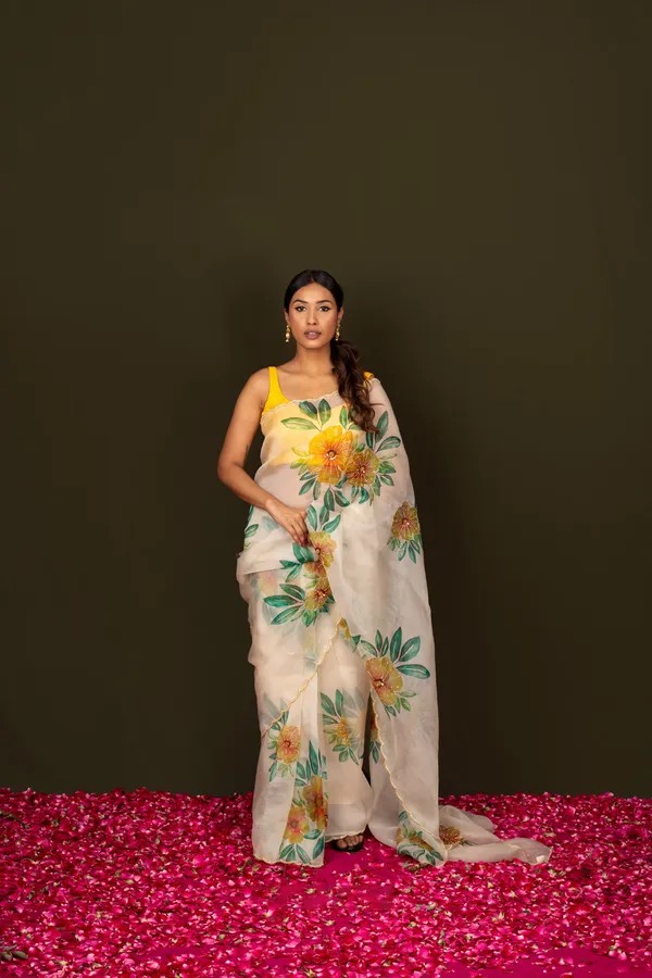 Cream_Organza_Motiwork_Embroidered_Saree