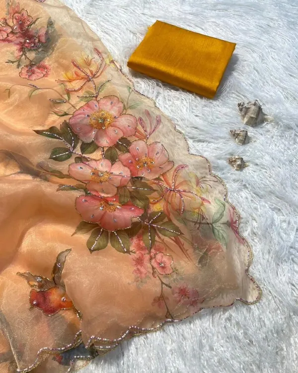 Coffee_Organza_Silk_Motiwork_Designer_Saree