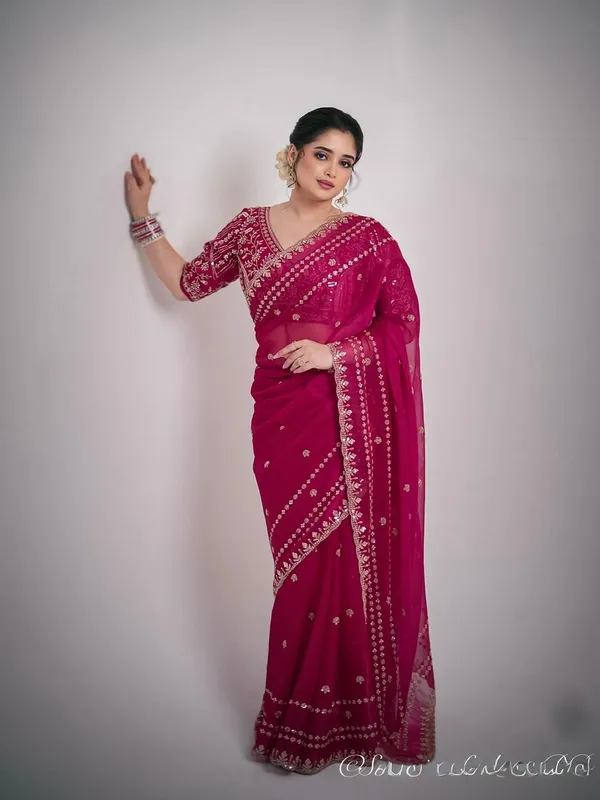 Rani_Space_Silk_Embroidered_Saree