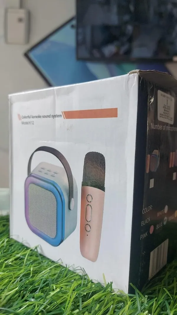 Colorful_Sound_System_with_Speaker_and_Microphone