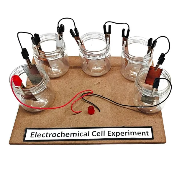 Electrochemical_Cell_Experiment_Science_Kit_-_Class_12_Practical_Chemistry_Project_Working_Model_DIY_Kit_Science_Projects