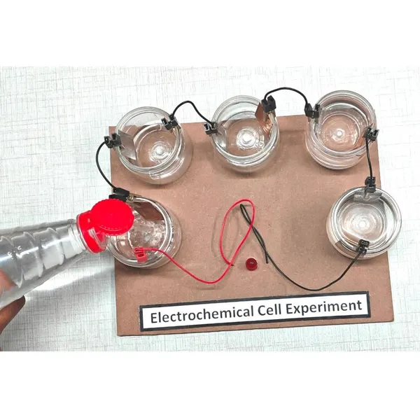 Electrochemical_Cell_Experiment_Science_Kit_-_Class_12_Practical_Chemistry_Project_Working_Model_DIY_Kit_Science_Projects