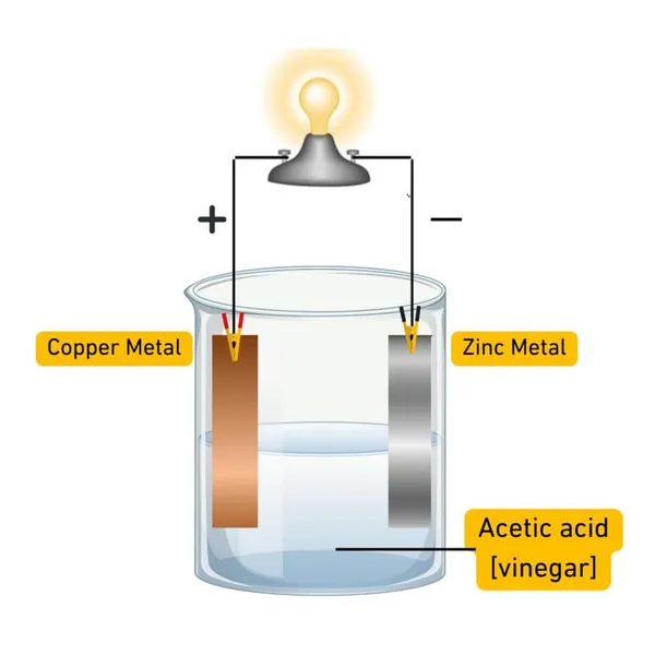 Electrochemical_Cell_Experiment_Science_Kit_-_Class_12_Practical_Chemistry_Project_Working_Model_DIY_Kit_Science_Projects
