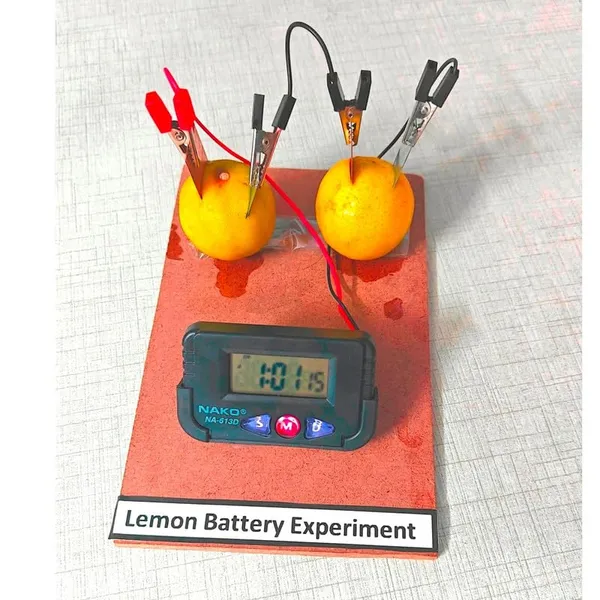 Simple_Lemon_Battery_Science_Project_with_Copper_and_Zink_Strips_Working_Model_Experiment_Kit_for_Science_Fair_Projects