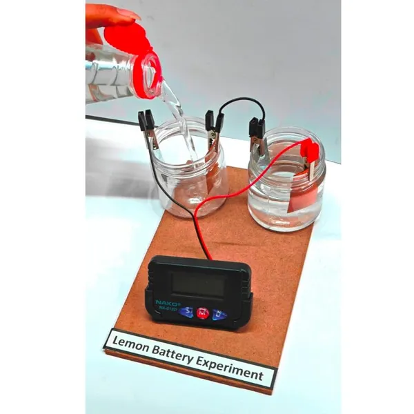 Simple_Lemon_Battery_Science_Project_with_Copper_and_Zink_Strips_Working_Model_Experiment_Kit_for_Science_Fair_Projects