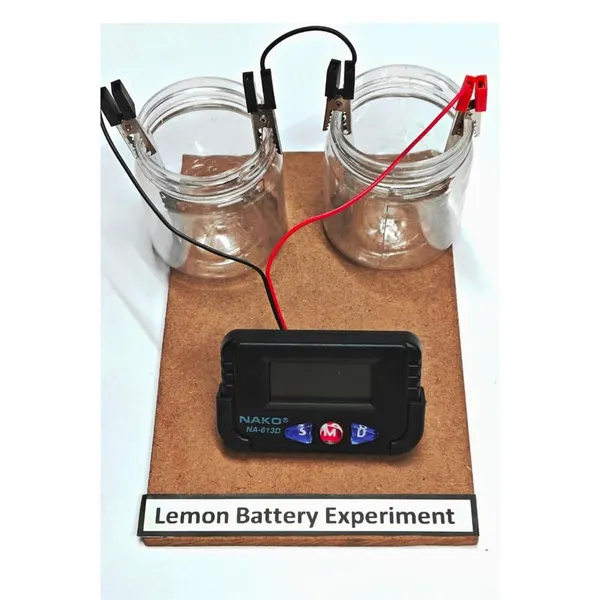 Simple_Lemon_Battery_Science_Project_with_Copper_and_Zink_Strips_Working_Model_Experiment_Kit_for_Science_Fair_Projects