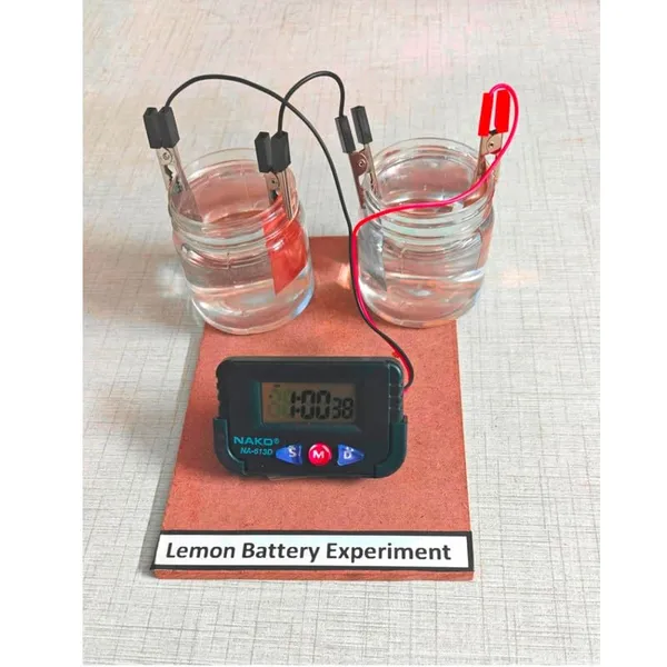 Simple_Lemon_Battery_Science_Project_with_Copper_and_Zink_Strips_Working_Model_Experiment_Kit_for_Science_Fair_Projects