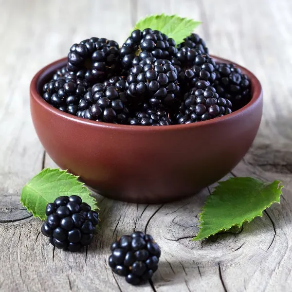 Blackberry_Plant_Hybrid_Plant_(Pack_Of_1)