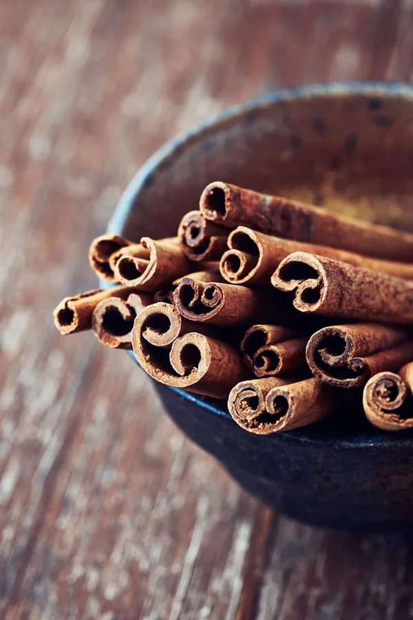 Cinnamon--Dalchini--Masala-Plant__(Pack_Of_1)