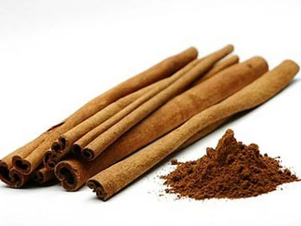 Cinnamon--Dalchini--Masala-Plant__(Pack_Of_1)