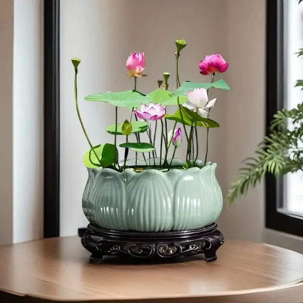 Divine_Bloom_Lotus_Plant_Blub__(Pack_Of_5)