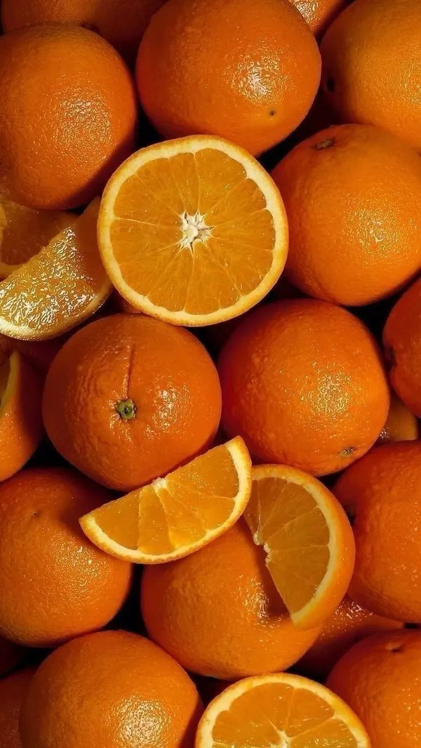 Egyptian_Valencia_orange_plant__(Pack_Of_1)