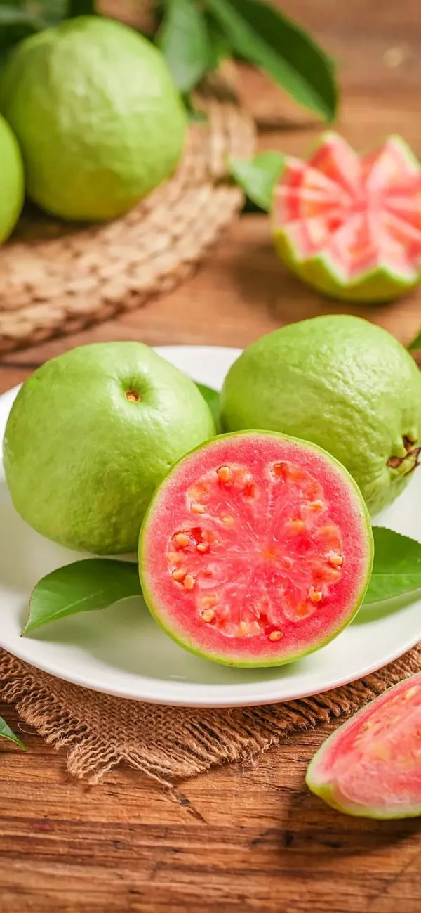 Pink_Guava_Plant_(Pack_Of_1)