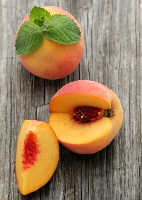 Velvet_Glow_Peach_Plant__(Pack_Of_1)