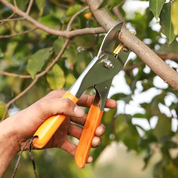 Garden_Pruning_Shears_|_Stainless_Steel_Bypass_Secateurs_|_Ergonomic_Non-Slip_Handle_with_Safety_Lock_|_Hand_Pruner_for_Gardening,_Plant_Cutting,_Trimming_Branches,_Flowers_&_Shrubs