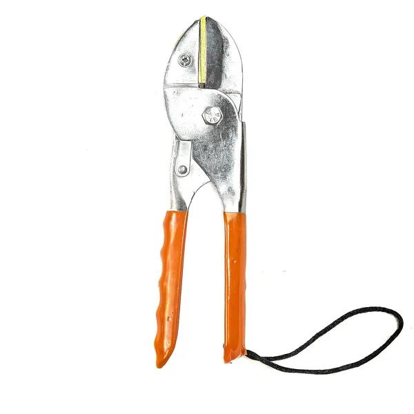 Garden_Pruning_Shears_|_Stainless_Steel_Bypass_Secateurs_|_Ergonomic_Non-Slip_Handle_with_Safety_Lock_|_Hand_Pruner_for_Gardening,_Plant_Cutting,_Trimming_Branches,_Flowers_&_Shrubs