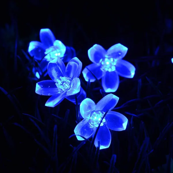 Blue_Candela_20_Leds_5_M__Steady_Flower_Rice_Lights_pack_of_2