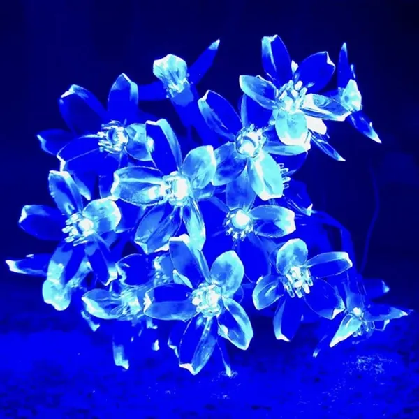Blue_Candela_20_Leds_5_M__Steady_Flower_Rice_Lights_pack_of_2