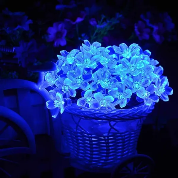 Blue_Candela_20_Leds_5_M__Steady_Flower_Rice_Lights_pack_of_2