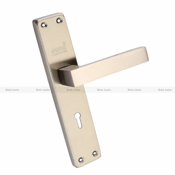 Mortice_Complete_Set__Rust_Proof_and_Corrosion_Proof_Finish_with_2_Handles,_Brass_Mortice_Lock,3_CP_Finish_Keys,_Screws_&_Spindle