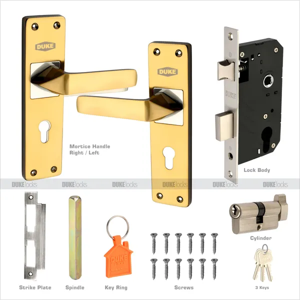DUKE_8_INCH_Mortice_Handle_Cylindrical_Door_Lock_200mm_(MH630_BG_CY)