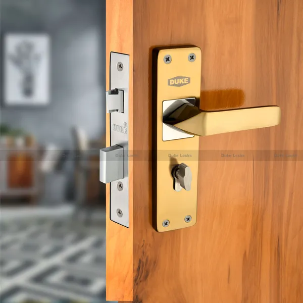 DUKE_8_INCH_Mortice_Handle_Cylindrical_Door_Lock_200mm_(MH630_BG_CY)
