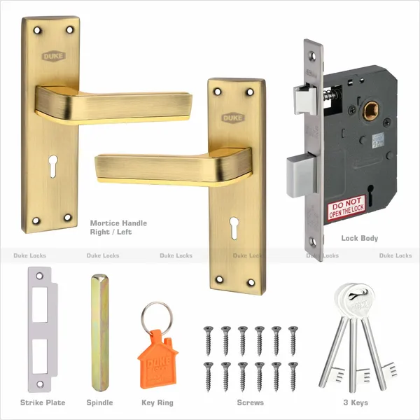 Duke_Locks_Brass_Finish_Door_Lock_for_Home_(1010_BA_KY)_8_INCH