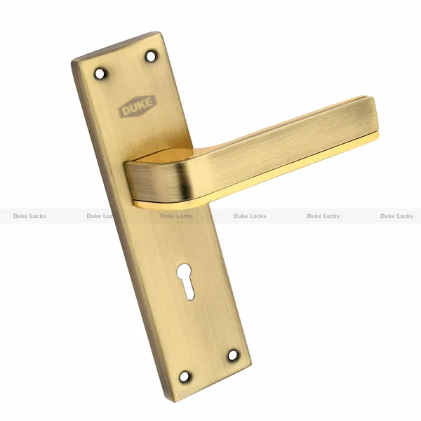 Duke_Locks_Brass_Finish_Door_Lock_for_Home_(1010_BA_KY)_8_INCH
