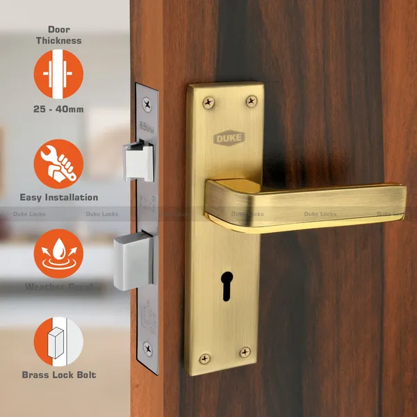 Duke_Locks_Brass_Finish_Door_Lock_for_Home_(1010_BA_KY)_8_INCH