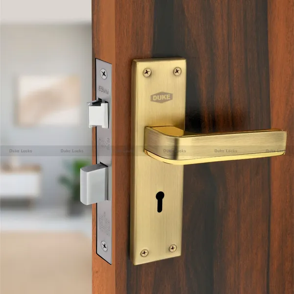 Duke_Locks_Brass_Finish_Door_Lock_for_Home_(1010_BA_KY)_8_INCH