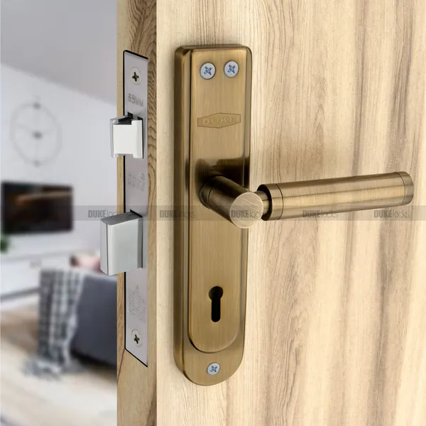 Duke_Mortice_Door_Lock_Set_BIG_KY_MH_610_BA_KY_(8_INCH)_190MM