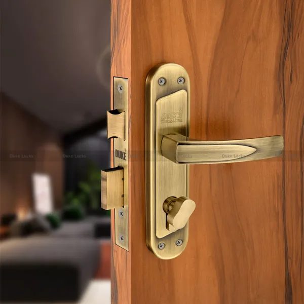 Duke_Mortice_Door_Lock_Set_Stainless_Steel_1001_BA_CY_8_Inch_with_Brass_&_Steel_Lock_|_Rust_Resistance_and_Corrosion_Proof_|_2_Handles,_190mm_for_Main_Doors,_Hotel