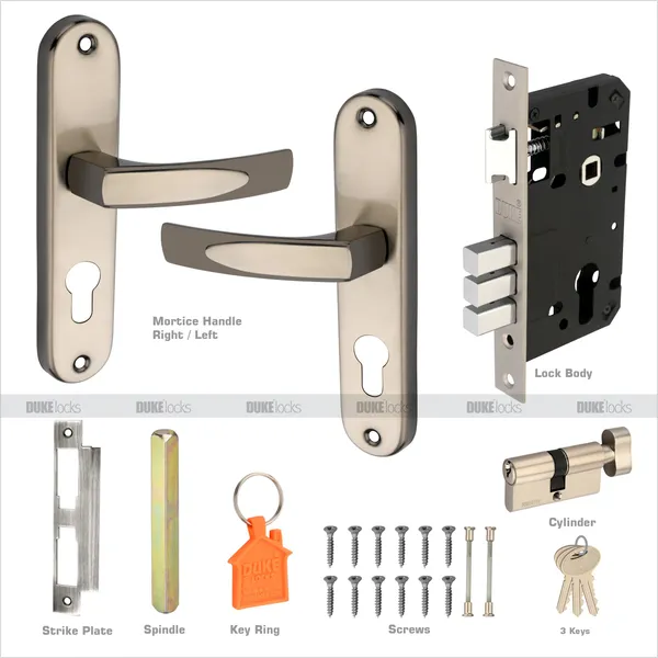 Duke_Mortice_Door_Lock_Set_Stainless_Steel_1030_BS_CY_8_Inch_with_Brass_&_Steel_Lock_|_Rust_Resistance_and_Corrosion_Proof_|_2_Handles,_190mm_for_Main_Doors