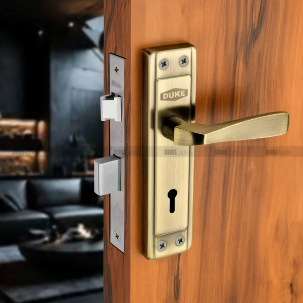 Duke_Antique_Finish_Mortice_Door_Lock_Set