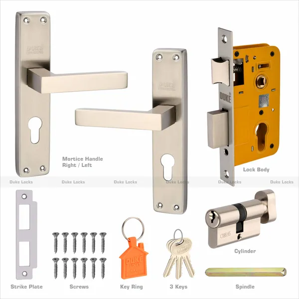 Mortice_Door_Lock_Set_Stainless_Steel_1005_SS_CY_8_INCH_with_Brass_Lock