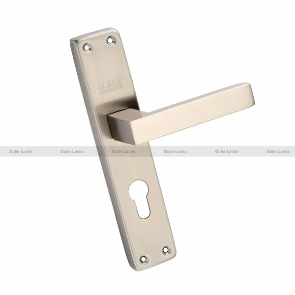 Mortice_Door_Lock_Set_Stainless_Steel_1005_SS_CY_8_INCH_with_Brass_Lock