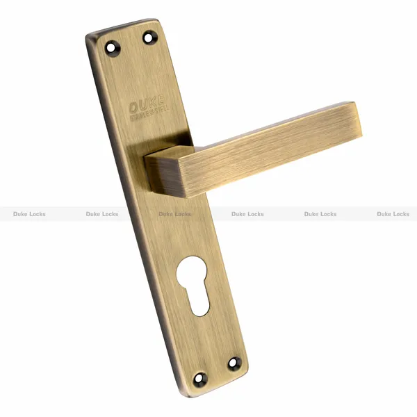 DUKE_Mortice_Door_Lock_Set_1005_BA_CY