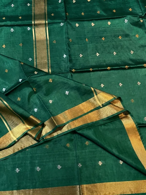 Elegant_Bhagalpuri_Raw_Silk_Saree_with_Zari_Motifs_and_Golden_Border